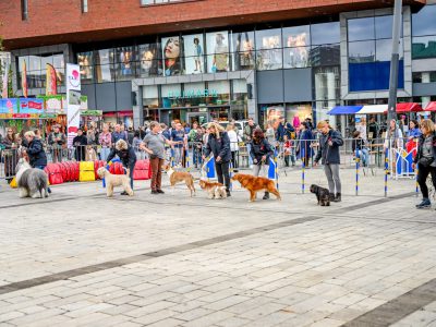 Dog Day Twente 2023-104