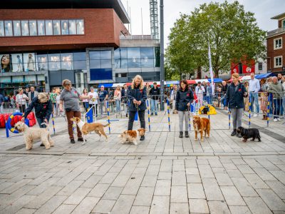 Dog Day Twente 2023-105