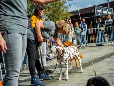 Dog Day Twente 2023-23