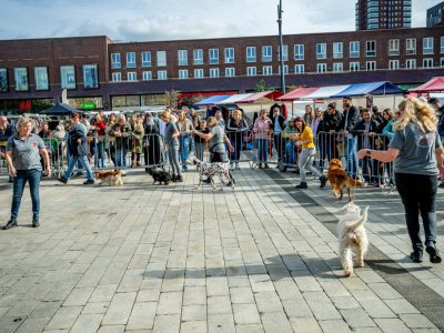 Dog Day Twente 2023-24