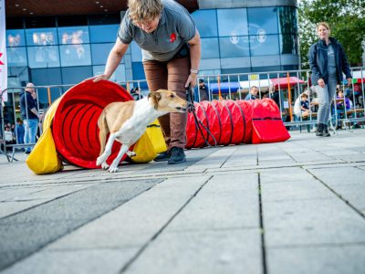 Dog Day Twente 2023-36