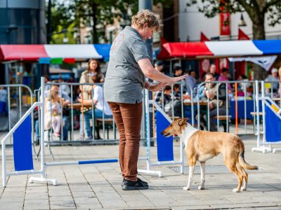 Dog Day Twente 2023-40