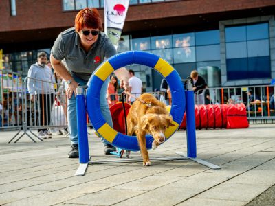 Dog Day Twente 2023-45