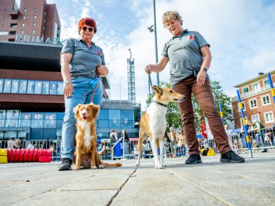 Dog Day Twente 2023-52