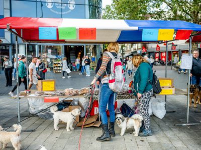 Dog Day Twente 2023-58