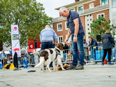 Dog Day Twente 2023-6