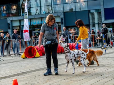 Dog Day Twente 2023-72