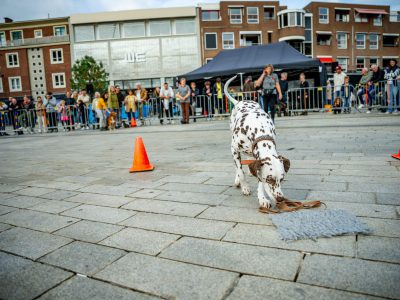 Dog Day Twente 2023-85