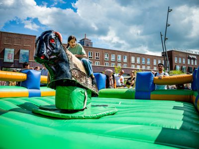 Zondagsmarkt 3 Dolle Dagen Festival Kalanderij 2024-65