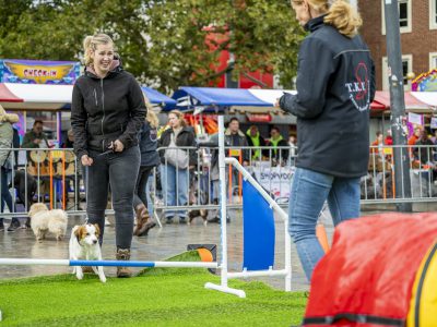 Zondagsmarkt Dog Day Twente 2024-11