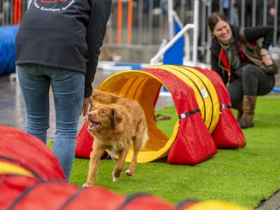 Zondagsmarkt Dog Day Twente 2024-13