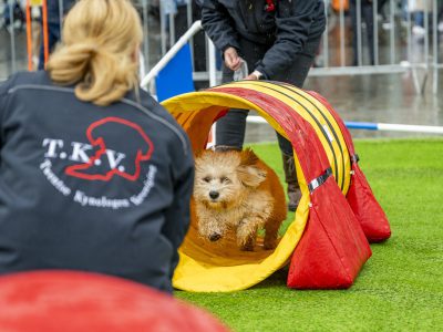 Zondagsmarkt Dog Day Twente 2024-14