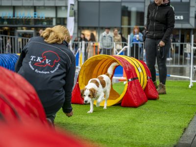 Zondagsmarkt Dog Day Twente 2024-15