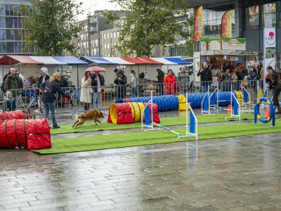 Zondagsmarkt Dog Day Twente 2024-16