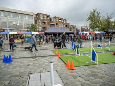 Zondagsmarkt Dog Day Twente 2024-2