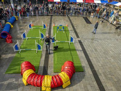 Zondagsmarkt Dog Day Twente 2024-24