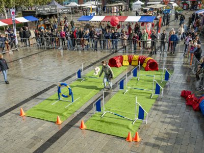 Zondagsmarkt Dog Day Twente 2024-26