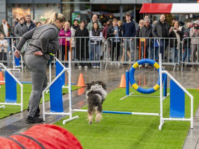 Zondagsmarkt Dog Day Twente 2024-28