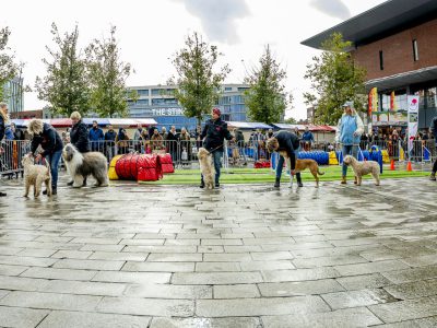 Zondagsmarkt Dog Day Twente 2024-31