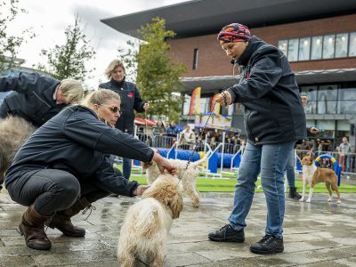 Zondagsmarkt Dog Day Twente 2024-32