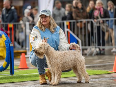 Zondagsmarkt Dog Day Twente 2024-36