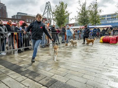 Zondagsmarkt Dog Day Twente 2024-37