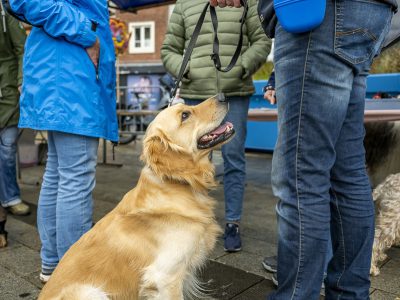 Zondagsmarkt Dog Day Twente 2024-4