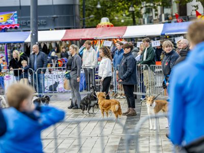 Zondagsmarkt Dog Day Twente 2024-60