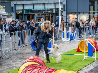 Zondagsmarkt Dog Day Twente 2024-61