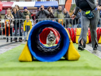 Zondagsmarkt Dog Day Twente 2024-62