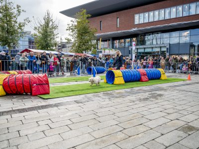 Zondagsmarkt Dog Day Twente 2024-63