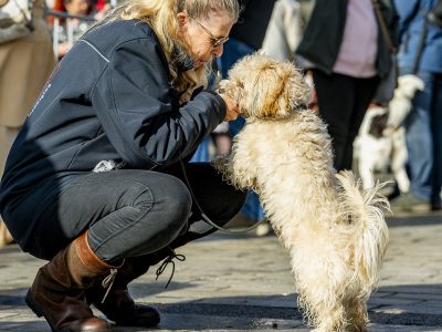 Zondagsmarkt Dog Day Twente 2024-78