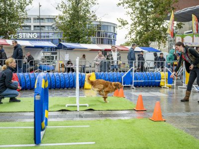 Zondagsmarkt Dog Day Twente 2024-8