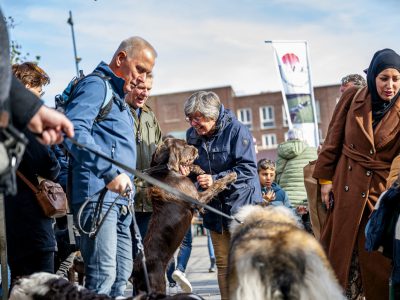 Zondagsmarkt Dog Day Twente 2024-81