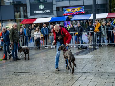 Zondagsmarkt Dog Day Twente 2024-85