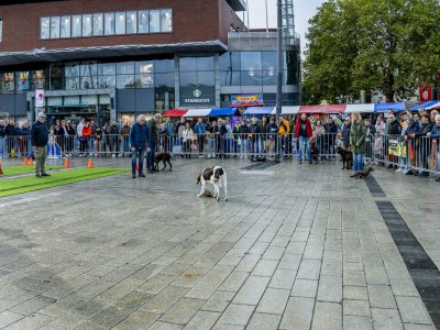 Zondagsmarkt Dog Day Twente 2024-86