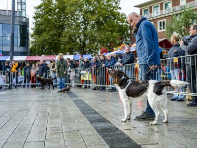 Zondagsmarkt Dog Day Twente 2024-89