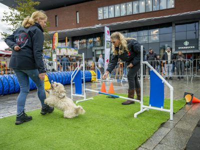 Zondagsmarkt Dog Day Twente 2024-9