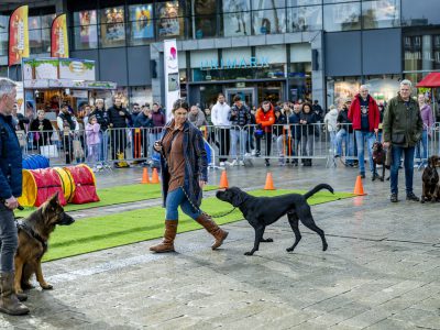 Zondagsmarkt Dog Day Twente 2024-90