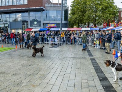 Zondagsmarkt Dog Day Twente 2024-91