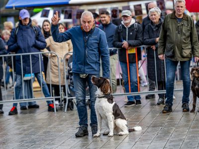 Zondagsmarkt Dog Day Twente 2024-94