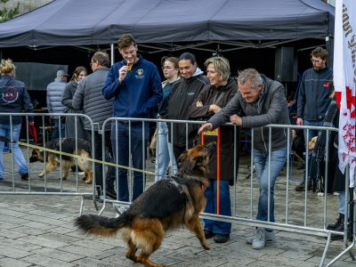 Zondagsmarkt Dog Day Twente 2024-99