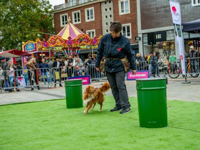 Zondagsmarkt Dog Day Twente 12 Oktober 2025-100