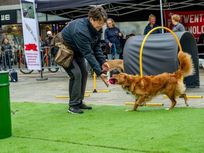 Zondagsmarkt Dog Day Twente 12 Oktober 2025-102