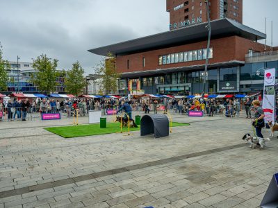 Zondagsmarkt Dog Day Twente 12 Oktober 2025-103