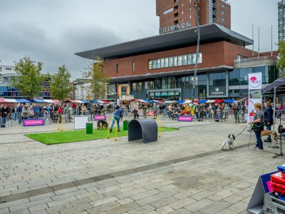 Zondagsmarkt Dog Day Twente 12 Oktober 2025-105