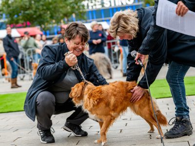 Zondagsmarkt Dog Day Twente 12 Oktober 2025-12