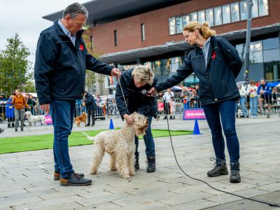 Zondagsmarkt Dog Day Twente 12 Oktober 2025-13