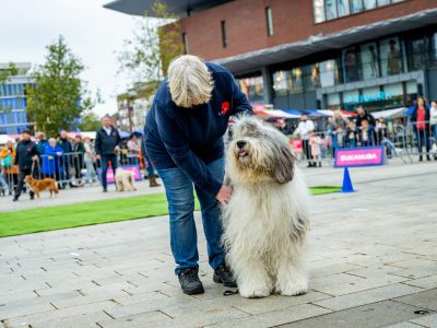 Zondagsmarkt Dog Day Twente 12 Oktober 2025-15
