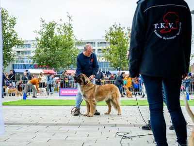Zondagsmarkt Dog Day Twente 12 Oktober 2025-18